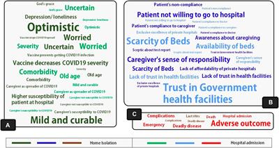 Home-Isolation Care in Newly COVID-19-Positive Elderly Patients: A Caregiver-Centric Explanatory Framework